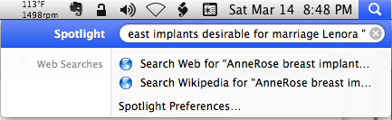 ./2015-03-14 at 8.48.19 PM - Breast Implants - 'AnneRose breast implants desirable for marriage Lenora ' - TRUE.png